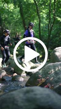 BIB:  <button type="button" onclick="openModal(28052858)" class="btn btn-primary btn-sm float-right" data-toggle="modal" data-target=".modal-high-quality">
                <i class="fa fa-download"></i> Download
                </button>